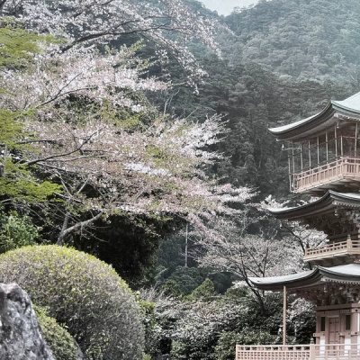 Обои 34562 Marburg Kumano