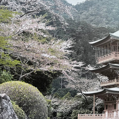 Обои 34562 Marburg Kumano Marburg коллекция Kumano производства Германия в интернет-магазине Обоитрейд