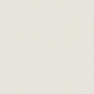 Обои 489507 Rasch Kids&Teens