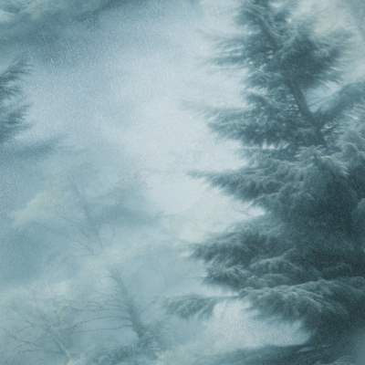 Обои HC72551-67  Palitra Life Ультрахром 3