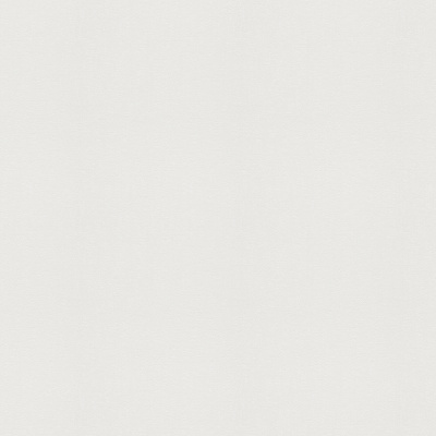 Обои 899023 Rasch Beltesto