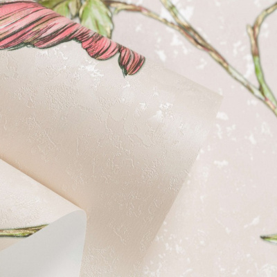 Обои HC71541-22 Home color Colibri