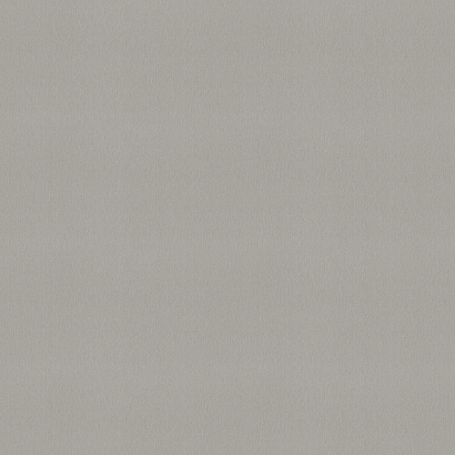 Обои 978575 Rasch Unitex Rasch коллекция Unitex производства  в интернет-магазине Обоитрейд