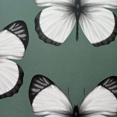 Обои 54401-5 Andrea Rossi Cheradi