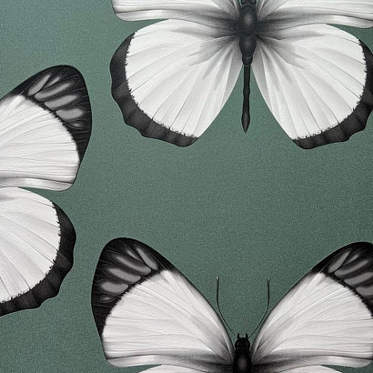 Обои 54401-5 Andrea Rossi Cheradi Andrea Rossi коллекция Cheradi производства Италия в интернет-магазине Обоитрейд