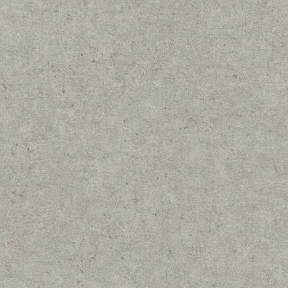Обои 520866 Rasch Concrete Rasch коллекция Concrete производства Германия в интернет-магазине Обоитрейд