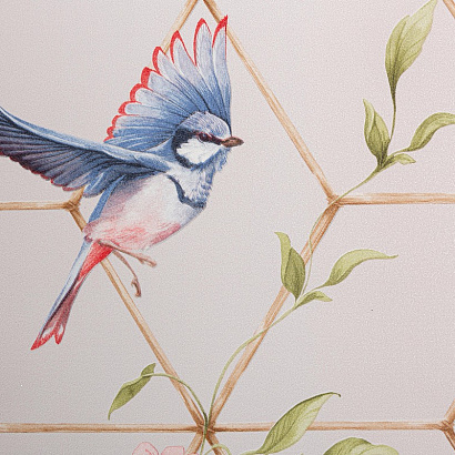 Обои TC72063-25 Trend Color Birds Trend Color коллекция Birds производства РОССИЯ в интернет-магазине Обоитрейд