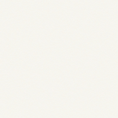 Обои W189102 Rasch Bright Whisper
