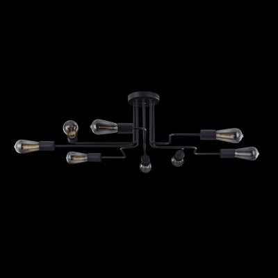 Потолочный светильник Maytoni Loft T532CL-08B