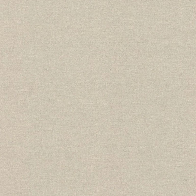 Обои 555851 Rasch Lirico