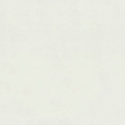 Обои 7308-00 Euro Decor Physalis Euro Decor коллекция Physalis производства РОССИЯ в интернет-магазине Обоитрейд