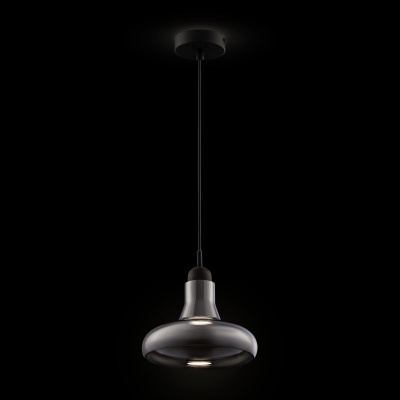 Подвесной светильник Maytoni Pendant P016PL-01B