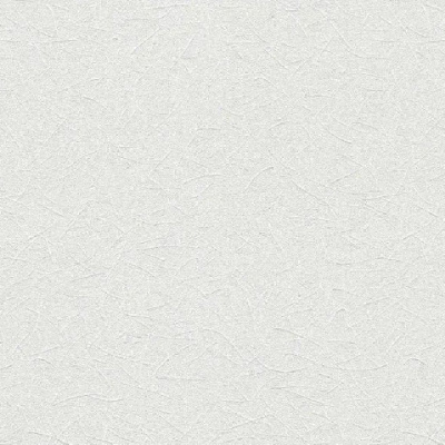 Обои 166118 Rasch Wallton