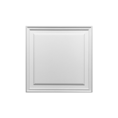 Лепнина D503 накладная панель