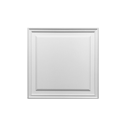 Лепнина D503 накладная панель