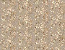 Обои 3503-5 Solo Феерия