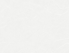 Обои W190101 Rasch Bright Whisper