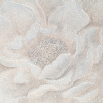 Обои PL72255-22 Палитра Valencia