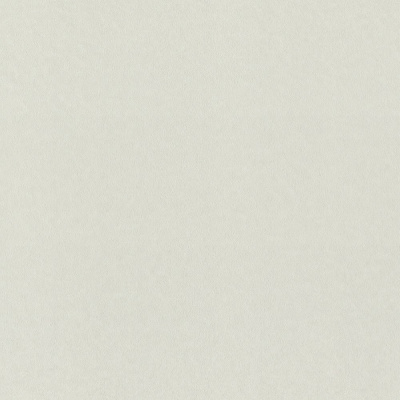 Обои 980325 Rasch Fresh Up