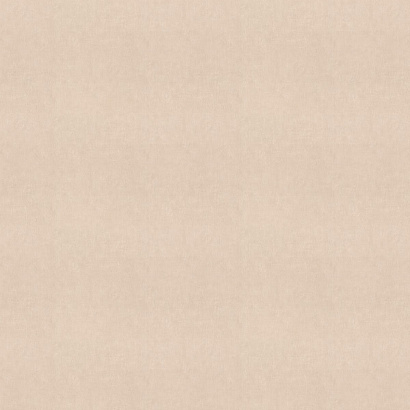 Обои 990362 Rasch Unitex Rasch коллекция Unitex производства  в интернет-магазине Обоитрейд