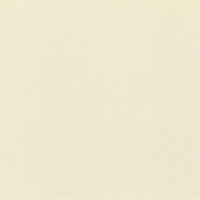 Обои 980363 Rasch Fresh Up