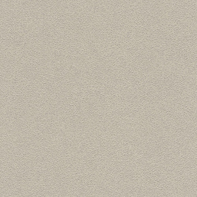 Обои 421972 Rasch Miracle