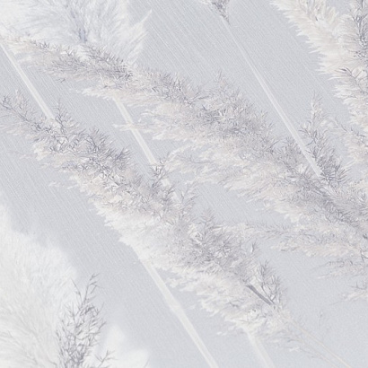 Обои VV72086-41 VOG Cortaderia VOG коллекция Cortaderia производства РОССИЯ в интернет-магазине Обоитрейд