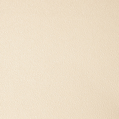 Обои 4060-080 NC Color NC коллекция Color производства РОССИЯ в интернет-магазине Обоитрейд