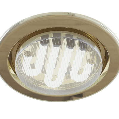 Встраиваемый светильник Technical Downlight DL293-01-G