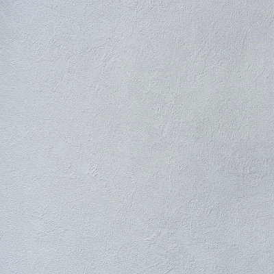 Обои RTE 2404-10 Alessandro Allori Bodega