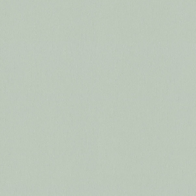 Обои 954340 Rasch Maximum 14