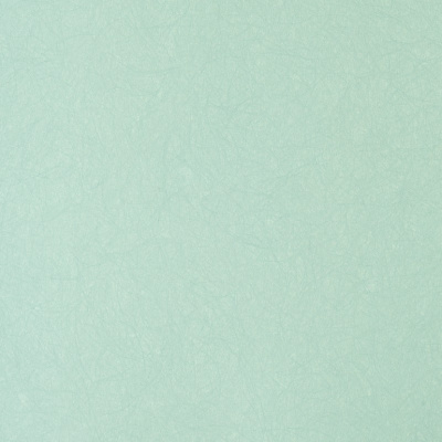 Обои 5068-76 Bernardo Bartalucci Legend