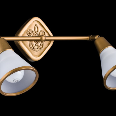 Спот Maytoni Spot SP008-CW-02-G