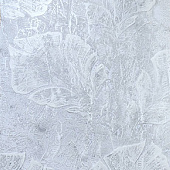 Обои HK47014 Wiganford Belfast