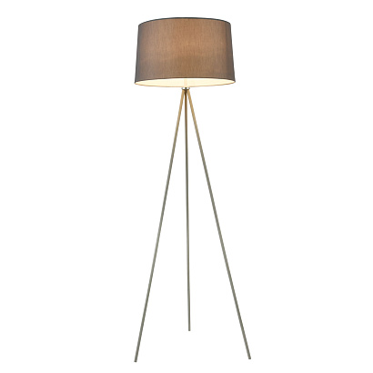 Торшер Freya Modern FR5152-FL-01-GR