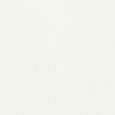 Обои 125634 Rasch Wallton