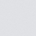 Обои W189103 Rasch Bright Whisper