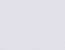 Обои W189103 Rasch Bright Whisper