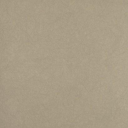 Обои 5068-5 Bernardo Bartalucci Legend Bernardo Bartalucci коллекция Legend производства Италия в интернет-магазине Обоитрейд