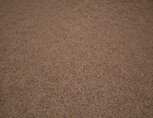 Обои 7470-88 Family Brocade