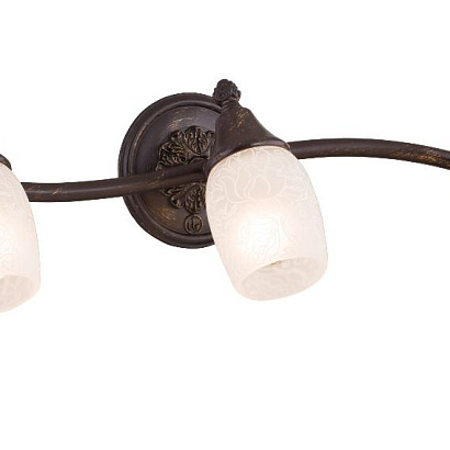 Спот Maytoni Spot SP563-CW-03-R