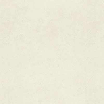 Обои 977103 Rasch Metal Spirit / Wall Textures XL