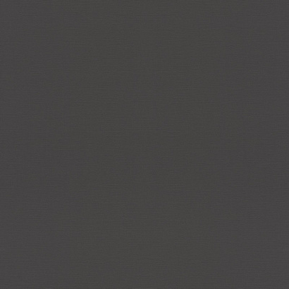 Обои 688023 Rasch Tropical House / Rhapsody / Symphony / Allegretto Rasch коллекция Tropical House производства Германия в интернет-магазине Обоитрейд