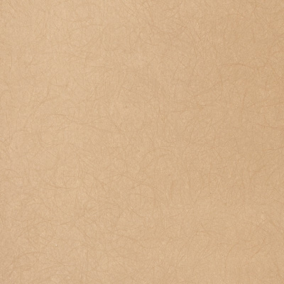 Обои 5068-81 Bernardo Bartalucci Legend