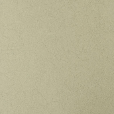 Обои 5068-88 Bernardo Bartalucci Legend