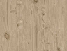 Обои 606256 Rasch Passepartout