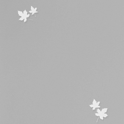 Обои 54384-5 Andrea Rossi Spectrum Pro Andrea Rossi коллекция Spectrum Pro производства Италия в интернет-магазине Обоитрейд