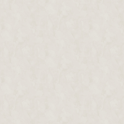 Обои W197002 Rasch Bright Whisper