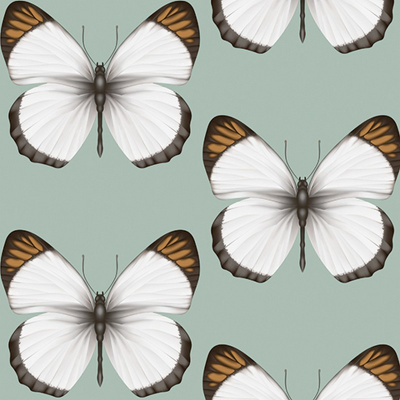 Обои 54401-4 Andrea Rossi Cheradi