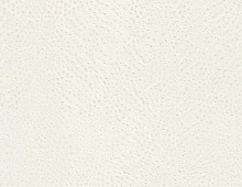 Обои 423655 Rasch African Queen